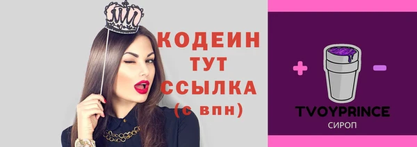 герыч Пересвет