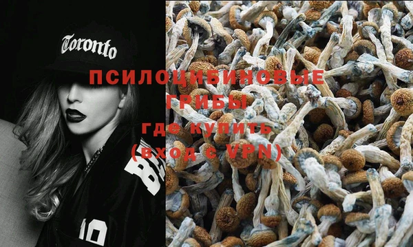героин Губаха
