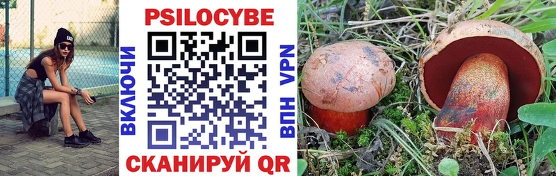 это формула Зеленоградск Псилоцибиновые грибы MAGIC MUSHROOMS